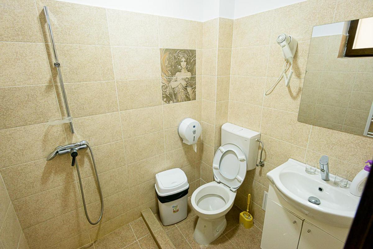 Отель Casa Domneasca Riana Питешти Экстерьер фото